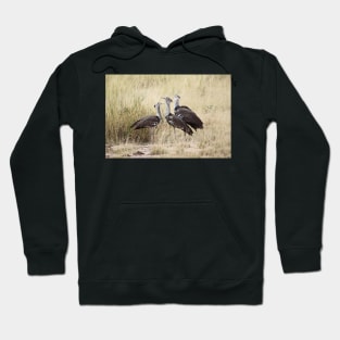 Kori Bustard, Kenya Hoodie